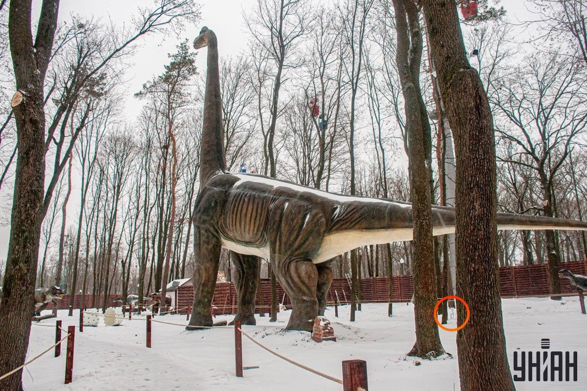 A kutya a kép bal alsó sarkához közel volt / Moje kollázs